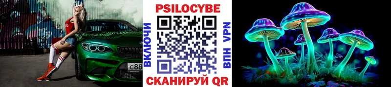 Купить  Болотное  Псилоцибиновые грибы Cubensis 